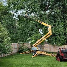 Mulching Services in Parma Heights, OH